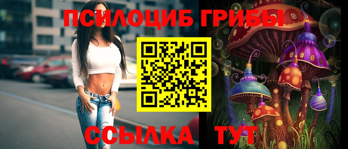 Галлюциногенные грибы Psilocybine cubensis  Вход с VPN  Грозный  Галлюциногенные грибы Magic Shrooms 