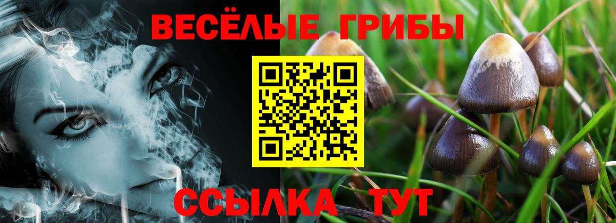 Галлюциногенные грибы мицелий Грозный